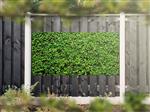 NR 1204: Tuinposter Hedera 90x180cm