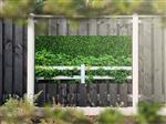 NR 1205: Tuinposter Hedera met hek 90x180cm
