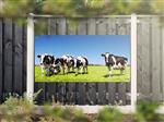 NR 1217: Tuinposter zwart-witte koeien in wei 90x180cm