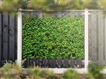 NR 1304: Tuinposter Hedera 120x180cm