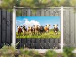 NR 1202: Tuinposter bonte koeien in wei 90x180cm