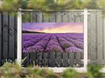 NR 1208: Tuinposter lavendelveld 90x180cm