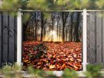 NR 1403: Tuinposter bos herfstkleuren 180x180cm