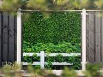 NR 1405: Tuinposter Hedera met hek 180x180cm