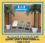 beachfeest palmboom verhuur groningen assen