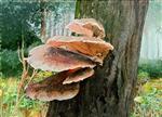 Kunsthandel Gennep - 