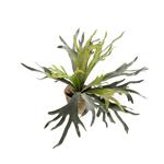 Kunstplant - Hertshoorn varen - 50cm