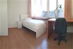 Kamer Paardebloem in Rotterdam