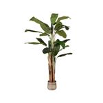 Kunstplant Musa 110x110x180 cm