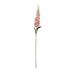 Delphinium Roze Ivory 72 cm / st – Zijdebloem zijdebloem bloomon