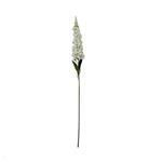 Delphinium Ivory 72 cm / st – Zijdebloem zijdebloem bloomon
