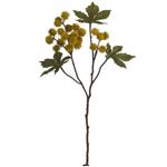 Ricinus Castor Oil Spray Dry Colour Mosterd Okergeel 43 cm / st – Zijdebloem Zijdebloem