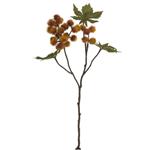Ricinus Castor Oil Spray Dry Colour Orange 43 cm / st – Zijdebloem Zijdebloem