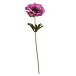Anemoon Plum 37 cm / st – Zijdebloem zijdebloem