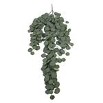 Hanger Vuller Grote Hanger Eucalyptus – 127 cm – Giant Eucalyptus Trail – Grey Green Groene hangplan