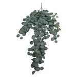 Hanger Vuller Grote Hanger Eucalyptus – 127 cm – Giant Eucalyptus Trail – Grey Green Groene hangplan