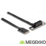 Delock 64217 M.2 Key A+E naar PCIe x1 NVMe Adapter haaks met 20cm kabel
