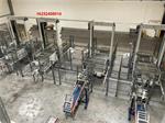 Sorma PAL 108D palletiseerder met kettingtransporteur