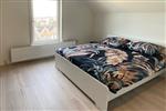 Appartement Oostzeedijk Beneden in Rotterdam