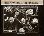 Cellen weefsels en organen