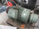 Asea-motor