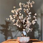 Hotel Chique - Kunst bloesemboom - Spring Blossom - 80cm