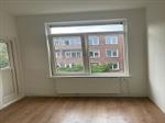 Kamer Buizerdstraat in Rotterdam