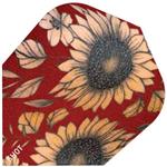 Shot Sunflower Std.6 Flights