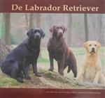 De labrador retriever