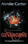 Gevangene / Blackcoat rebellion / 2