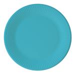 Turquoise Borden 20cm 8st