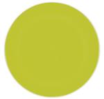 Lime Groene Borden 25cm 2st