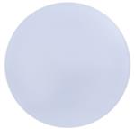 Paarse Borden Pastel 25cm 2st