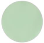 Groene Borden Pastel 25cm 2st