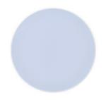 Paarse Borden Pastel 20cm 2st