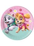 Paw Patrol Borden Gekleurd 23cm 8st