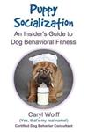Puppy Socialization