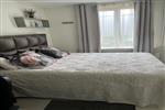 Kamer Bulgarijepad in Haarlem