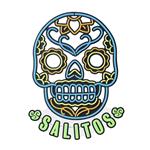 Salitos led verlichting 'Skull'