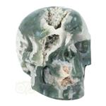 Mosagaat schedel 983 gram