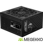 MSI MPG A1000GS PCIE5
