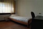Kamer Paardebloem in Rotterdam