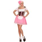Roze Dirndl Jurk Oktoberfest Dames