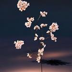 Kunst Cherry Blossom Tak – 120 cm – Roze Kersenbloesem Tak voor Vaasdecoratie of Binnenstyling