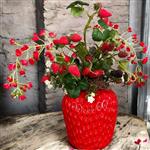 Decoratieve Keramische Aardbeienvaas met Kunst Aardbeienplant – 40 cm – Rode Sierpot