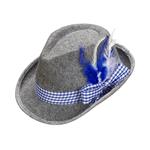 BEIERSE FEDORA MET BLAUWE VEREN