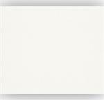 100 m2 Rasch Renovlies 150 gram + 20 liter ProGold Glasweefsellijm