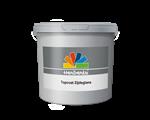 Topcoat Zijdeglans 10 liter
