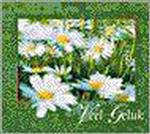 Veel geluk boek & cd