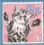 Big Hug! - cadeauboekje / Studio Pets by Myrna / 4